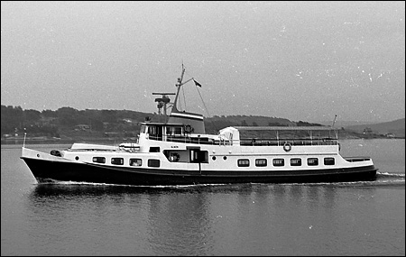Almn utanfr Stenungsund 1980-07