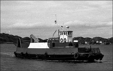 lgfjord i Rnnng 1991-10-19