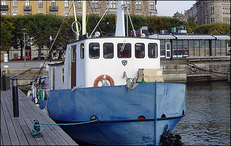Svanen vid Strandvgskajen, Stockholm 2005-10-19
