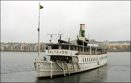 Saltsjn i Hammarby sj, Stockholm 2019-11-21