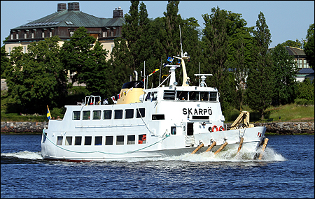 Skarp vid Valdemarsudde, Stockholm 2020-06-19