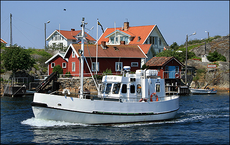 S:t Olof II af Kyrkesund vid Hrn 2006-07-06