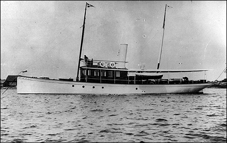 Arona 1904