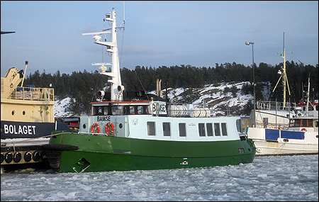 Bamse i Nynshamn 2006-03-01