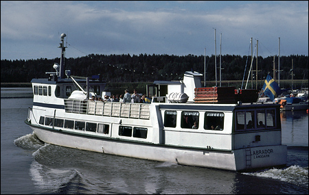 Labrador i Nykping 1992-07-17