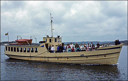 Stngehufvud vid Gullholmen 1988-09-03