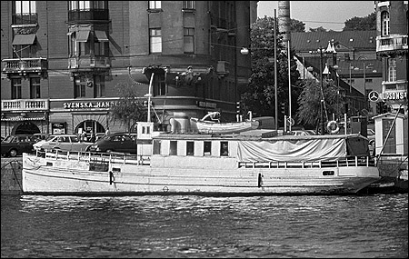 Svan vid Strandvägskajen, Stockholm 1978-08