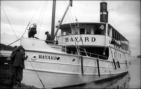 Bayard