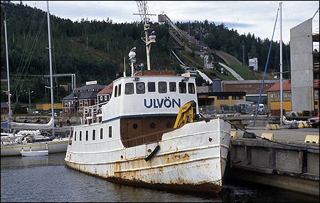 Ulvn i rnskldsvik 1990-07