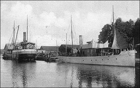 Polstjernan i �m�l