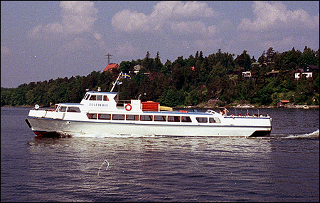 Delfin VIII i Halvkakssundet, Liding 1985