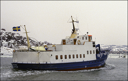 Svan vid Saltholmen, Gteborg 1987-01-20